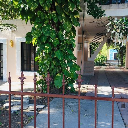טיסימין Hostal Y Camping Villa Mercedes מראה חיצוני תמונה