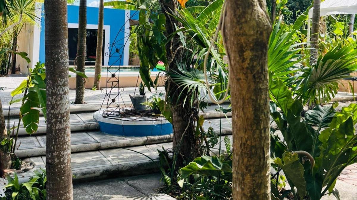 טיסימין Hostal Y Camping Villa Mercedes מראה חיצוני תמונה