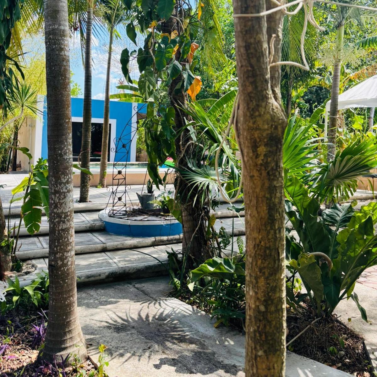 טיסימין Hostal Y Camping Villa Mercedes מראה חיצוני תמונה